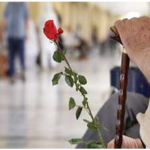 لیست مراکز نگهداری شبانه روزی سالمندان